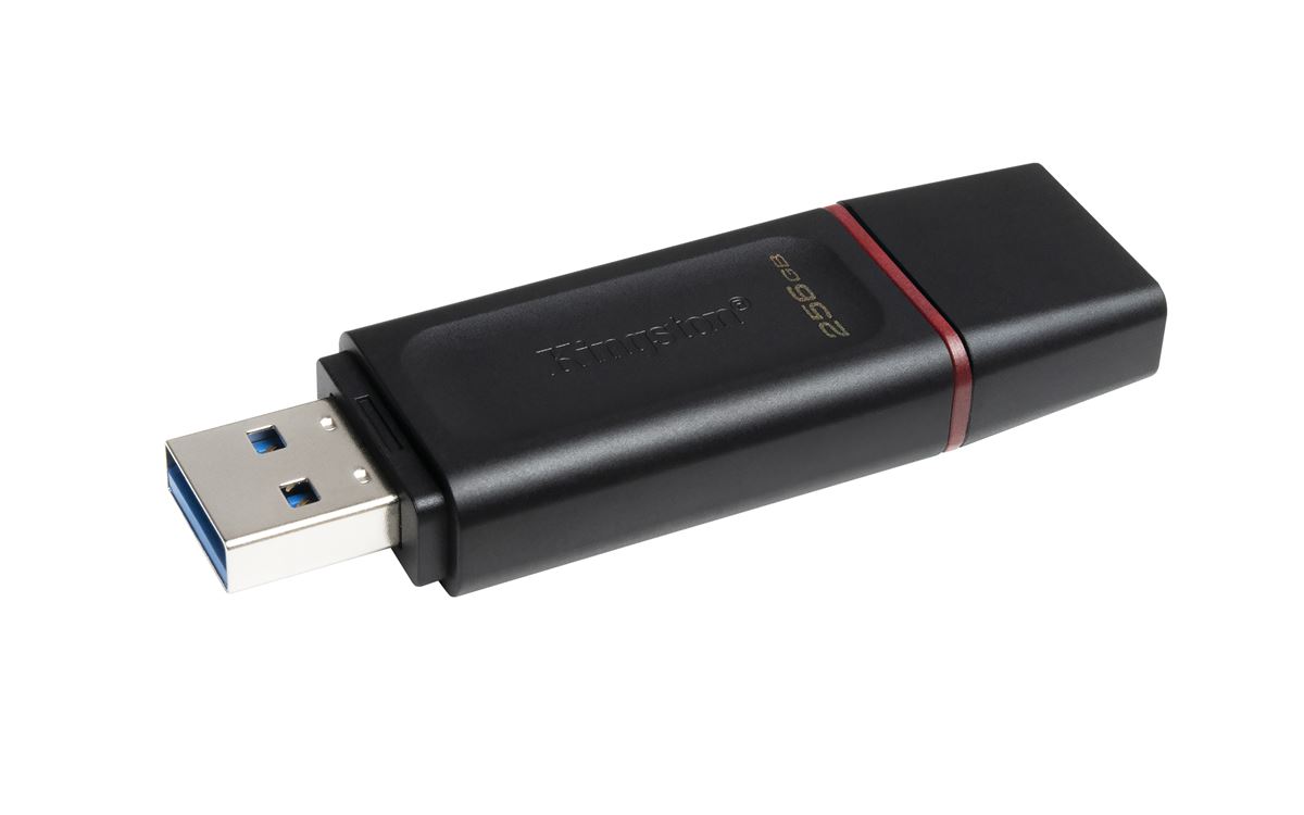 MEM UFD 256GB DTX KIN USB MEMORIJA