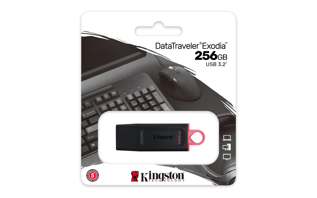 MEM UFD 256GB DTX KIN USB MEMORIJA
