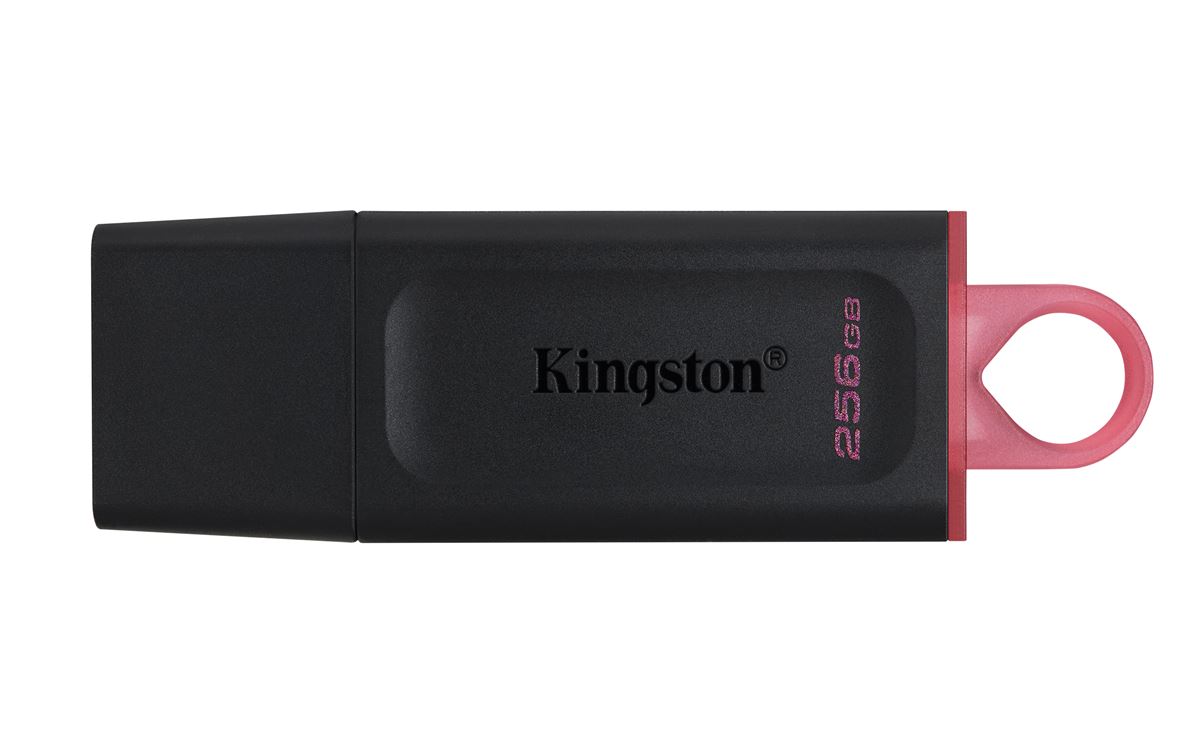 MEM UFD 256GB DTX KIN USB MEMORIJA
