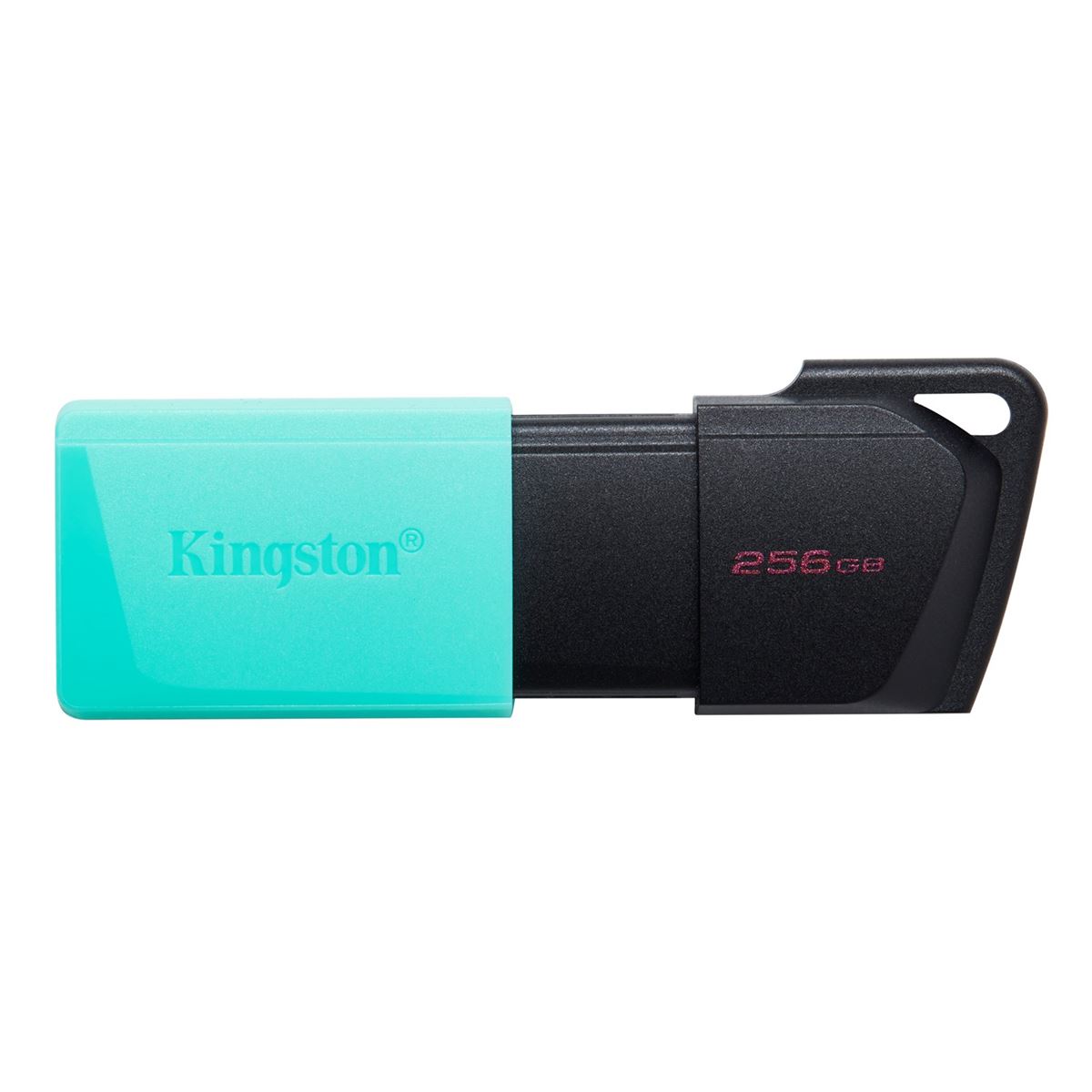 MEM UFD 256GB DTXM KIN USB MEMORIJA